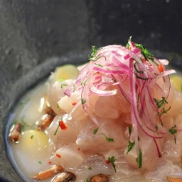 Ceviche de TilĂ¡pia